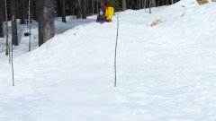 luge.jpg